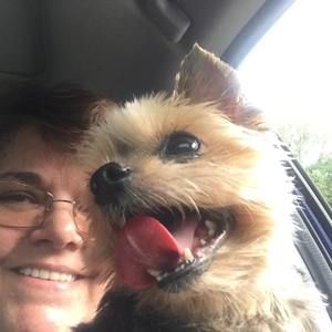 Meet your Posher, Tina